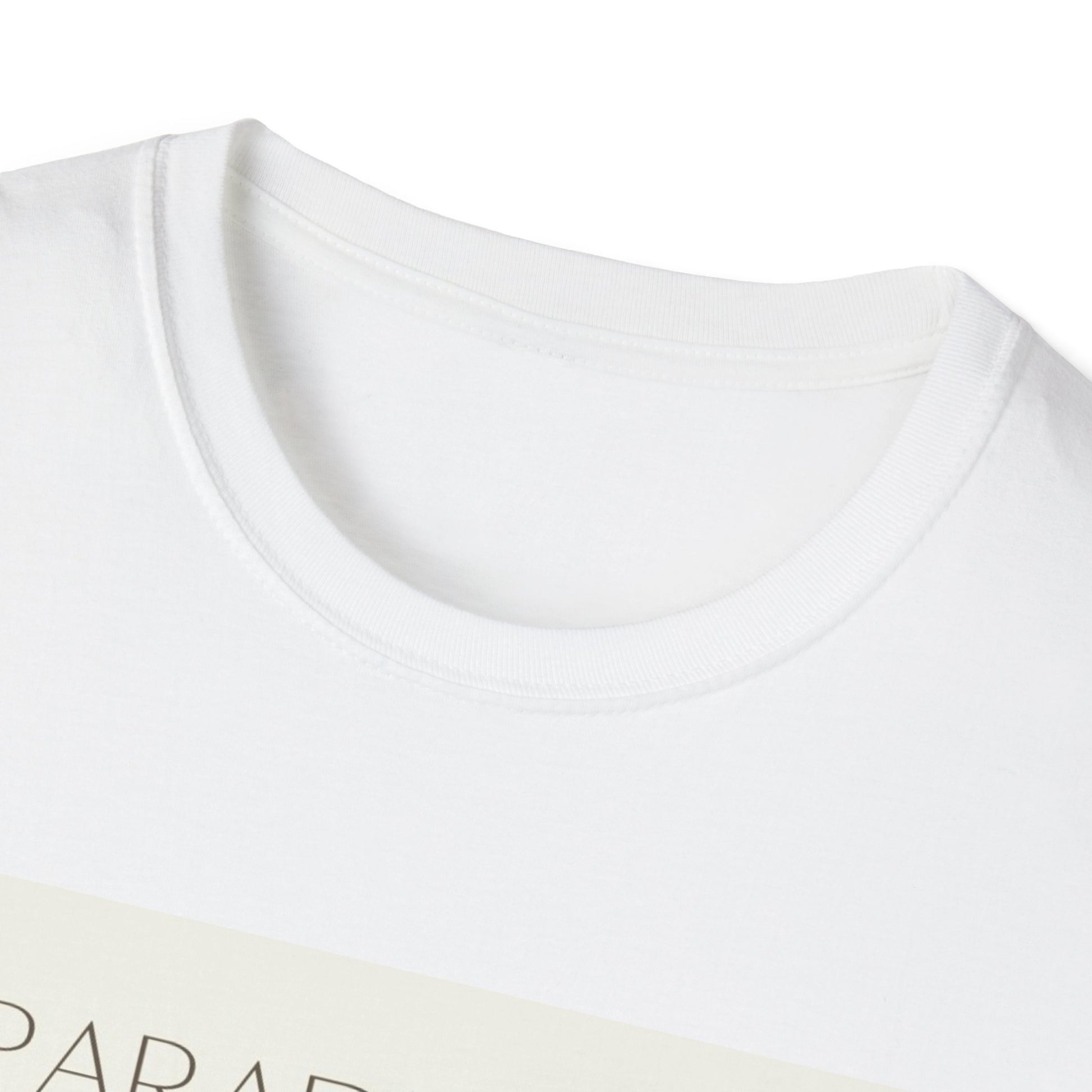 Close-up of the Paradigm Zen t-shirt showcasing its soft fabric and modern design